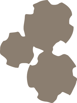 Polygon